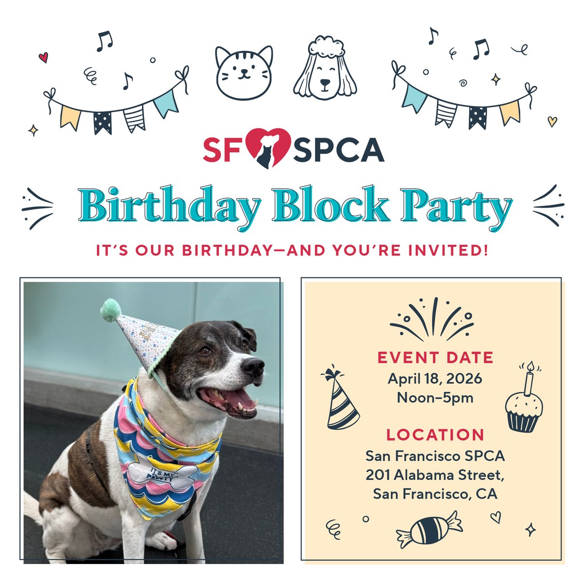 DoTheBay tweet media