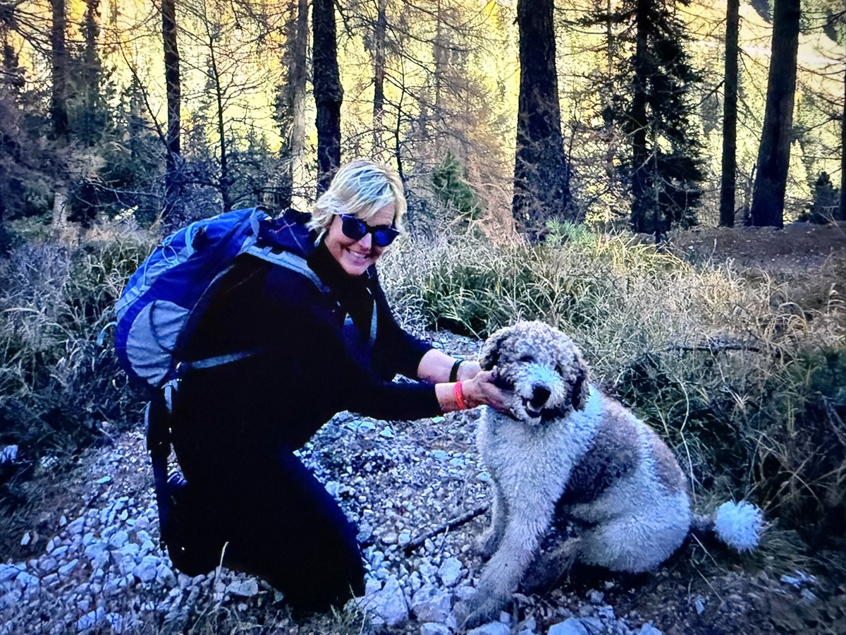 Giuditta tweet media