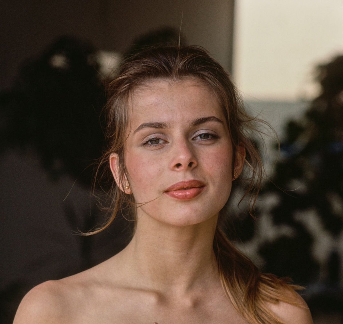 Remnants of the Past tweet media