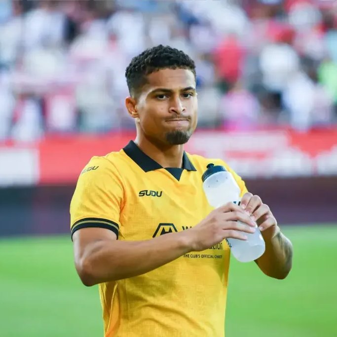 Wolves Actu France 🐺🇫🇷 tweet media