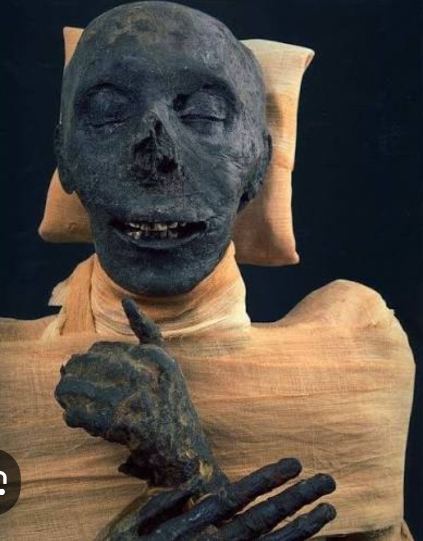 SeYDuNa*~21~* tweet media