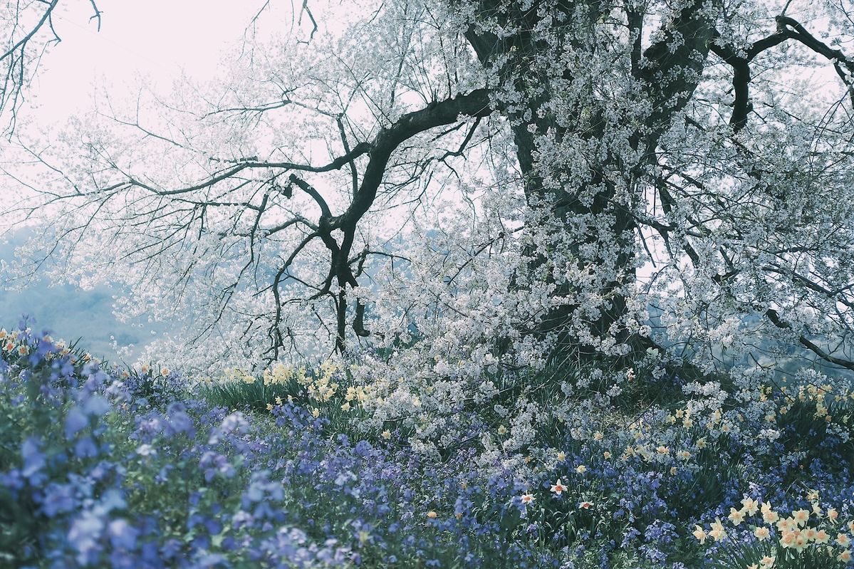 kismetfiless's tweet image. 04102026