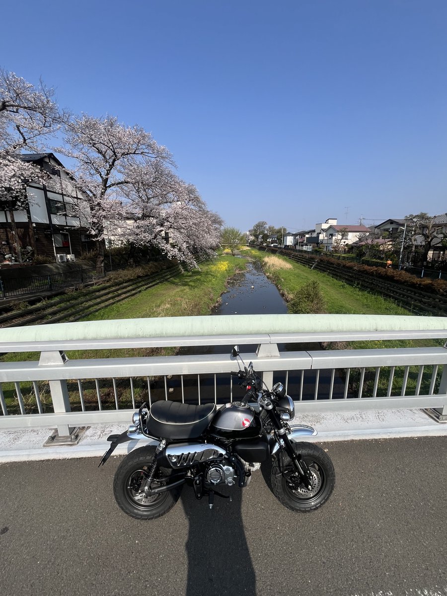 Ben⊿ 🐵🐶🐻+🚐&🦅(🔥🌪️)+🦢 tweet media