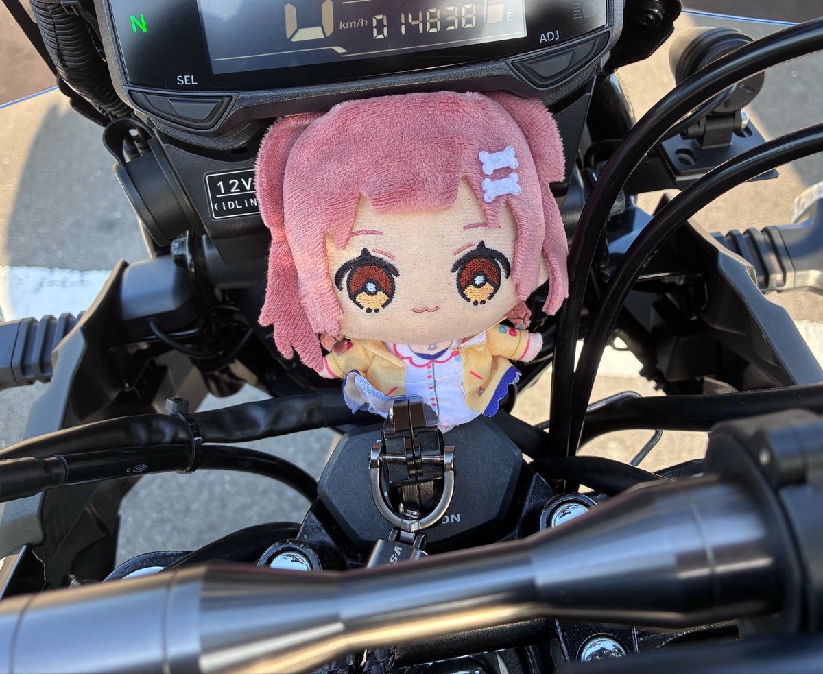 ASH(アッシュ)🥐2026FesEXPO3DAY参戦 tweet media