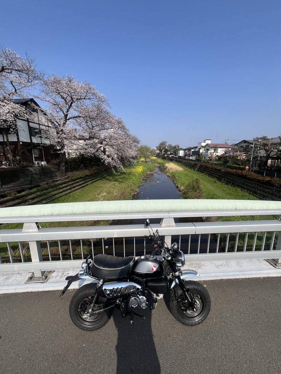 Ben⊿ 🐵🐶🐻+🚐&🦅(🔥🌪️)+🦢 tweet media