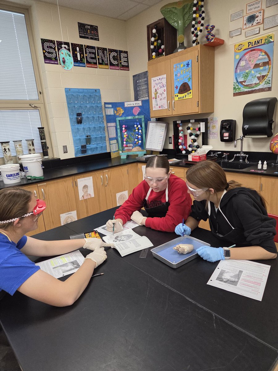 EHS Life Sciences - Rachel Hauck tweet media