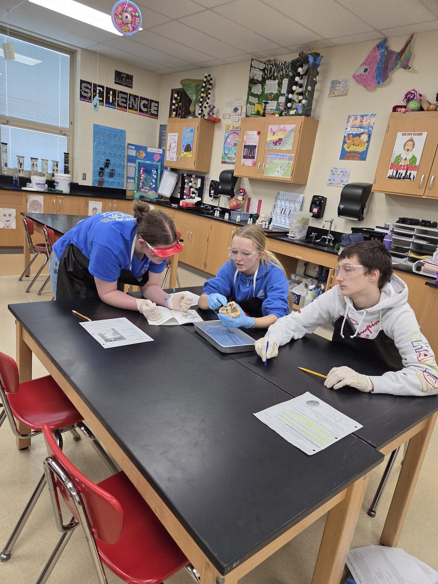 EHS Life Sciences - Rachel Hauck tweet media