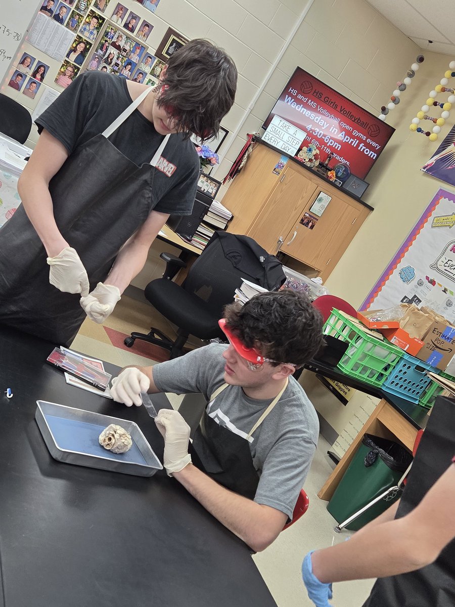 EHS Life Sciences - Rachel Hauck tweet media