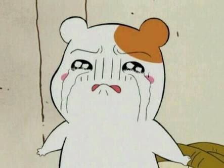 vi 🚬🐇 ROLLPILLED tweet media