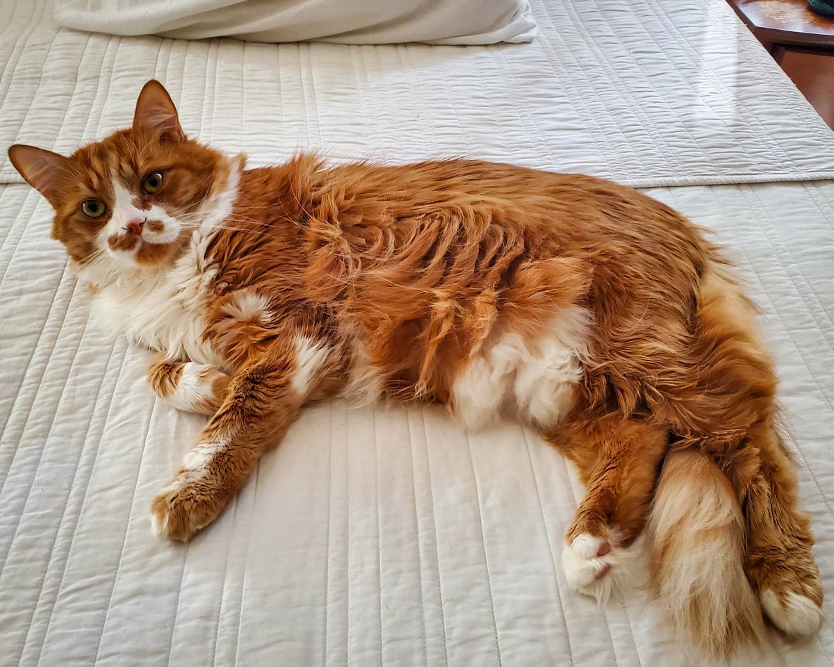 dave wagner tweet media