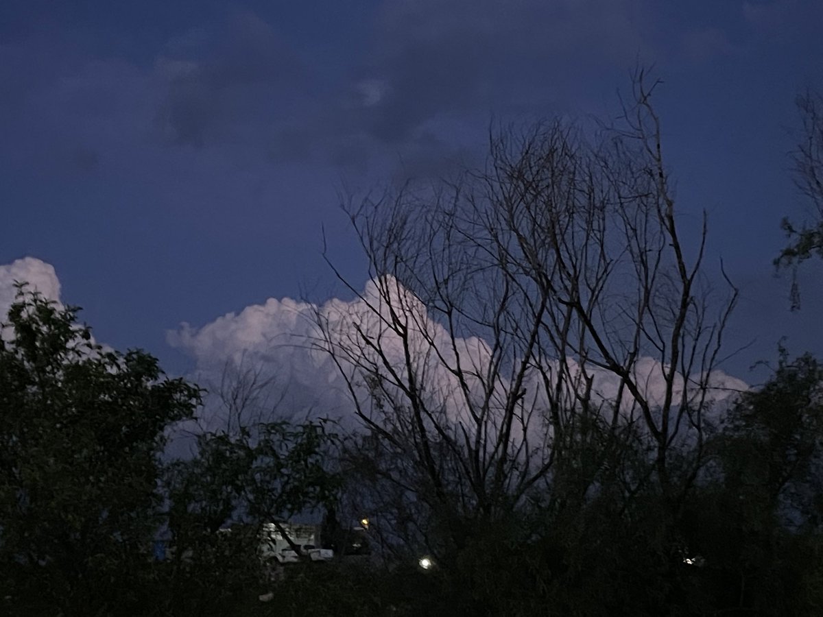 ڕازاو tweet media