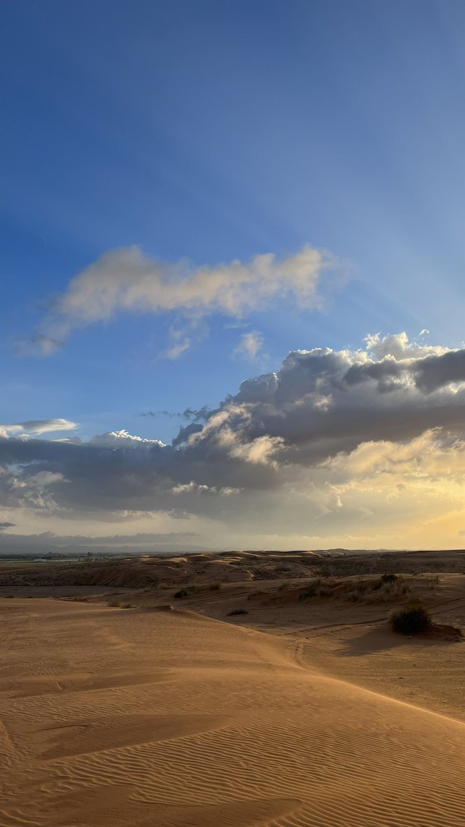 سليمان tweet media