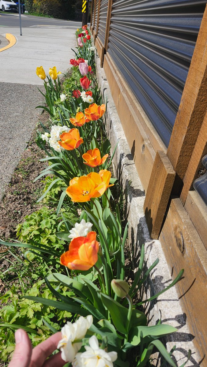 OsirisGreen tweet media