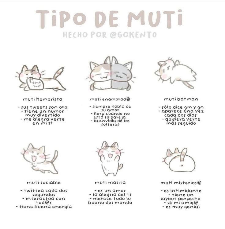 Fifi 🩵 tweet media