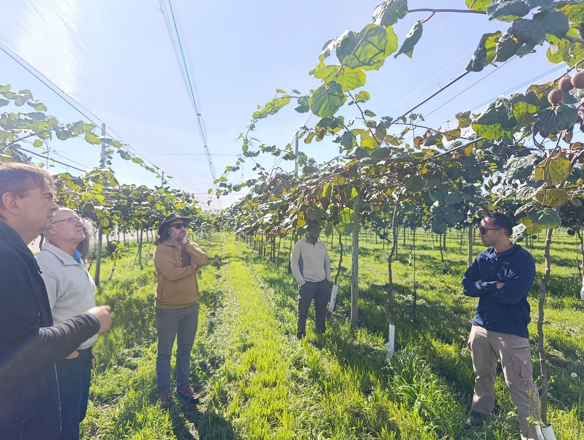 HugoMiraMar's tweet photo. @creamarysierras #Kiwi.

#zonanucleoballenera

Invitado a #Aprender # Colaborar #Empresa Kiwi en reunión CREA Kiwi en Formación.

Exitos a este Grupo! https://t.co/YCLniQOVIs