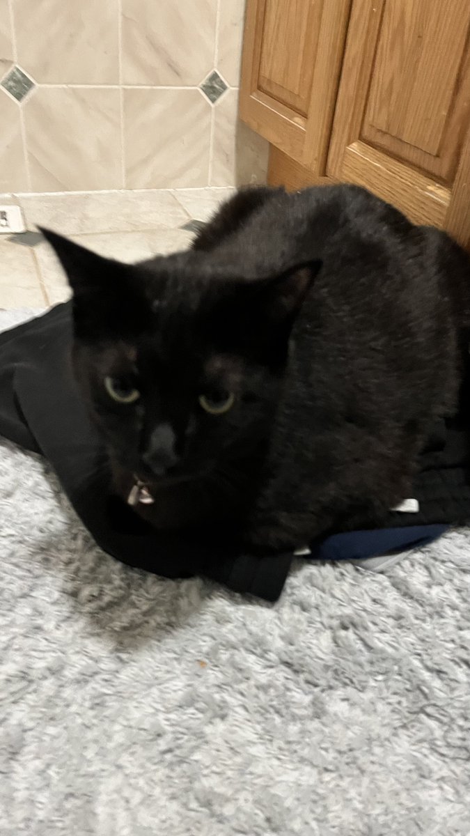 Sock’s father tweet media