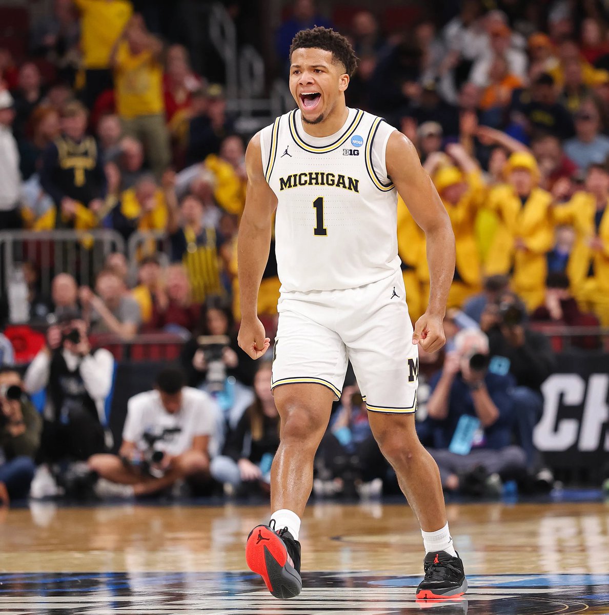 Maize Signal 〽️ tweet media