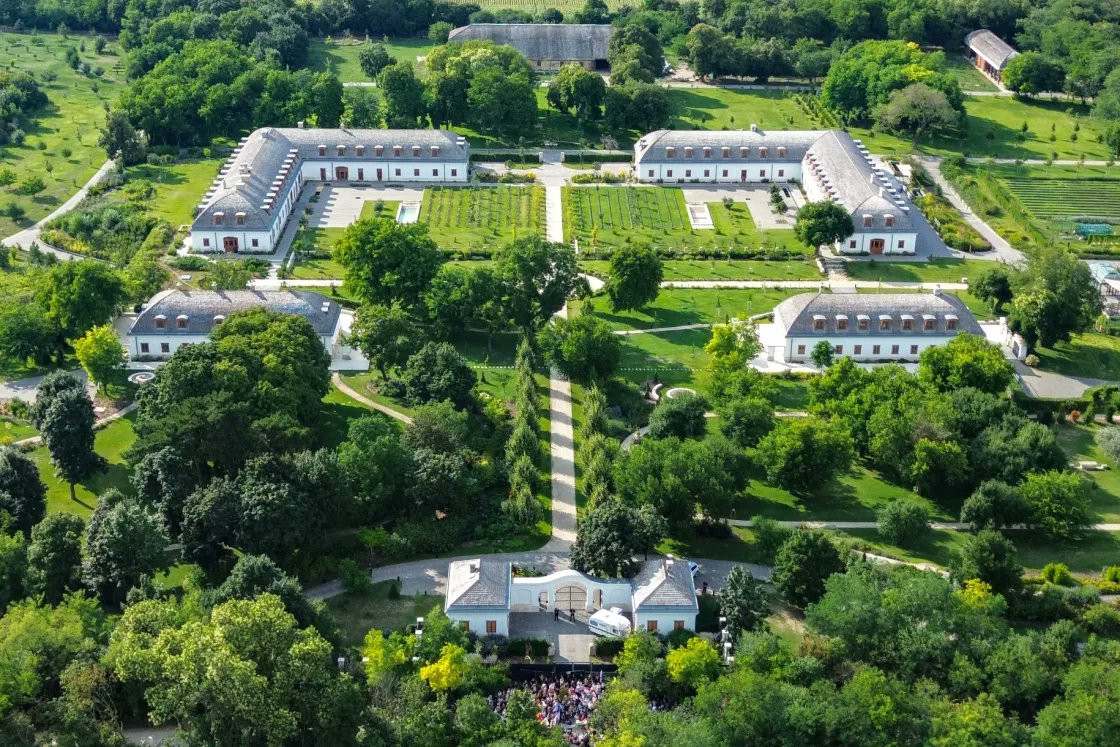 Martin Polanyi tweet media