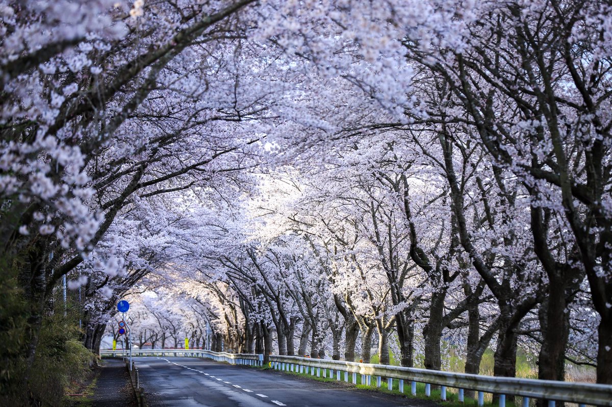 宮城県涌谷町～wakuya town～ tweet media