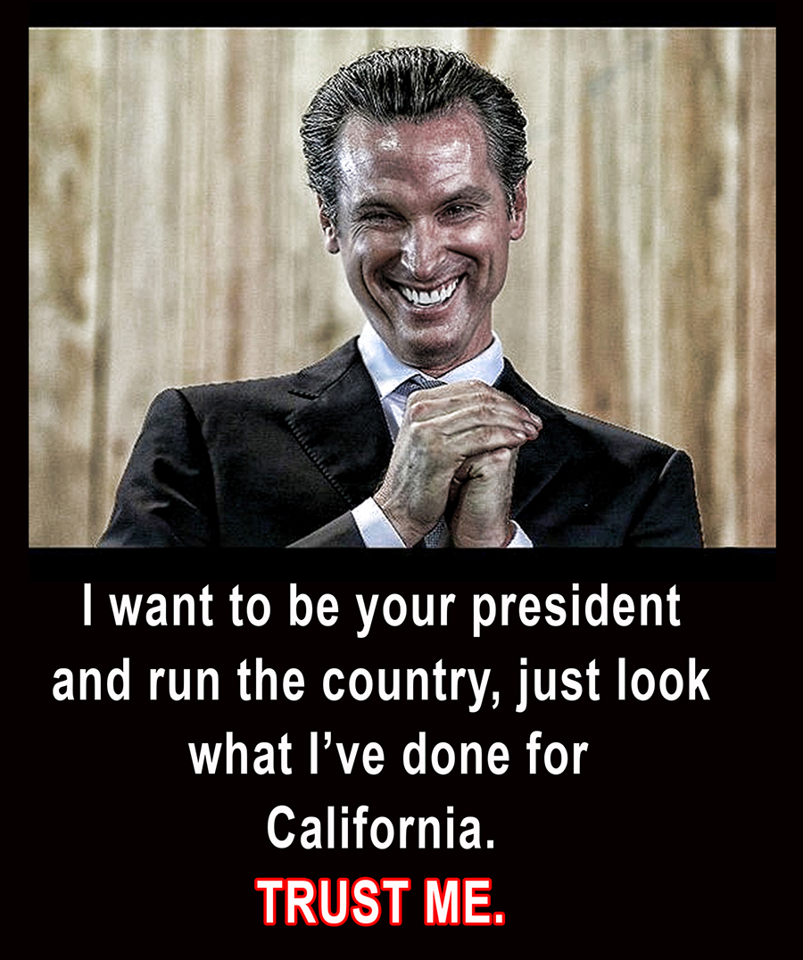 FREE SPIRIT tweet media