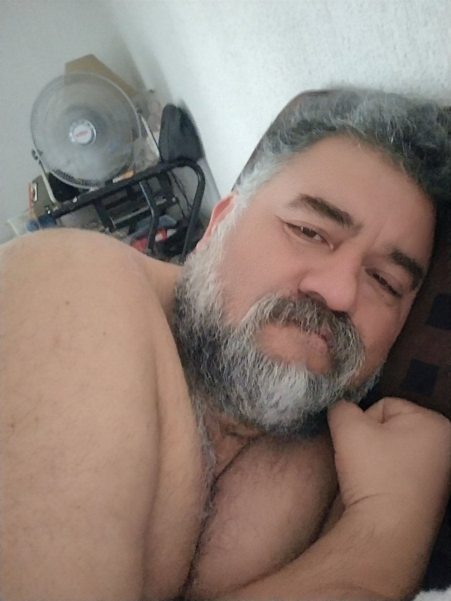Osito Carpintero tweet media