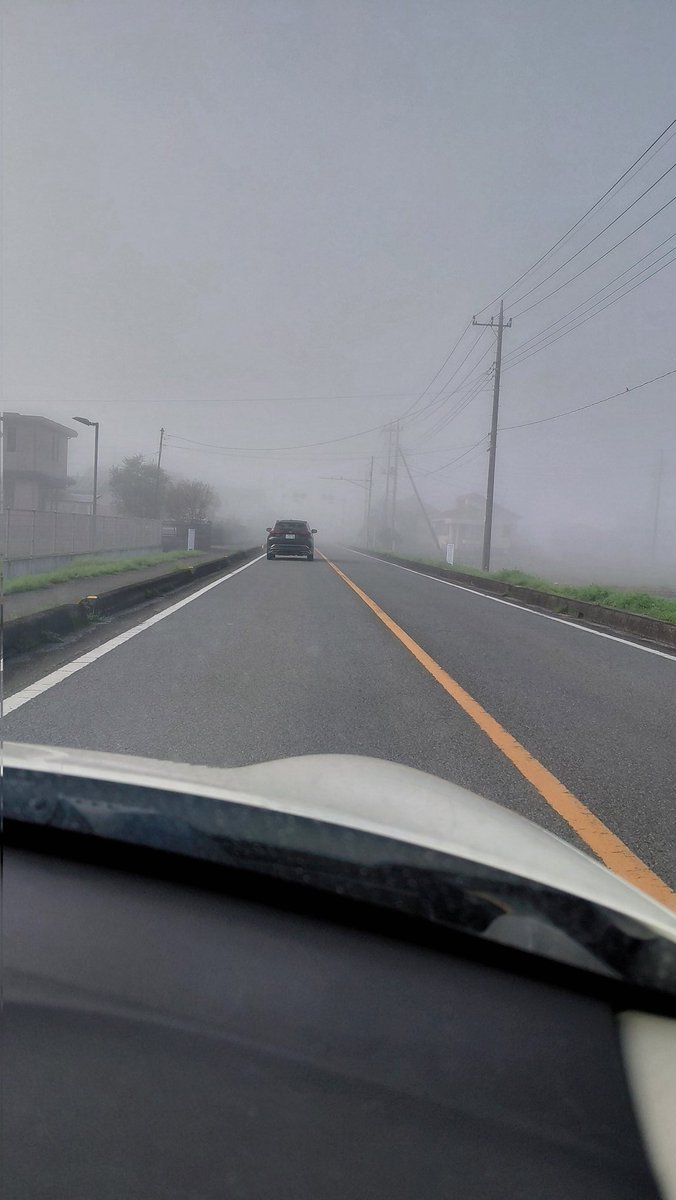 ぴろり tweet media