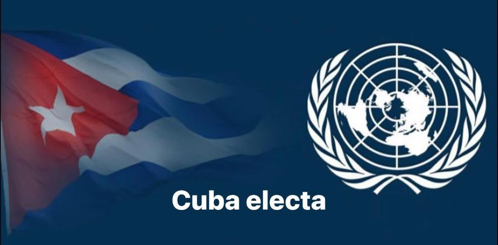 El Necio tweet media