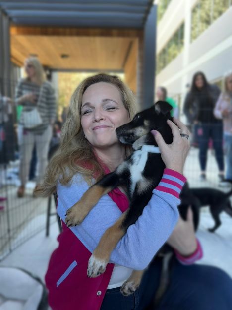 JaniceKapner's tweet image. My dogs are one of the most grounding parts of my life. They don’t care about titles or deadlines. They just show up, every day, loyal &amp;amp; present. Sydney &amp;amp; Darby bring constant joy to our home. This #NationalPetDay, give your pets a little extra love! 🐾

#PetParent #DogMom