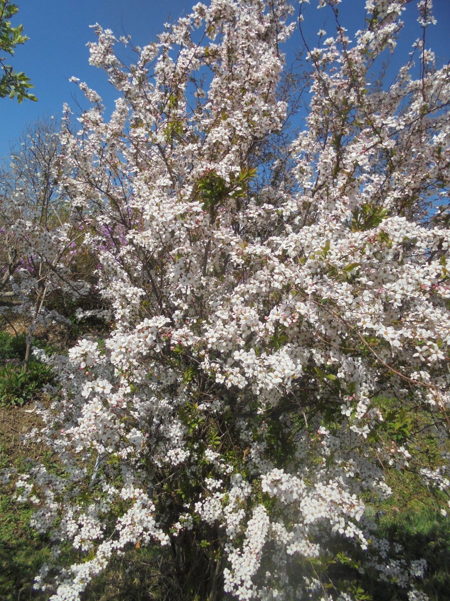 이근제 tweet media