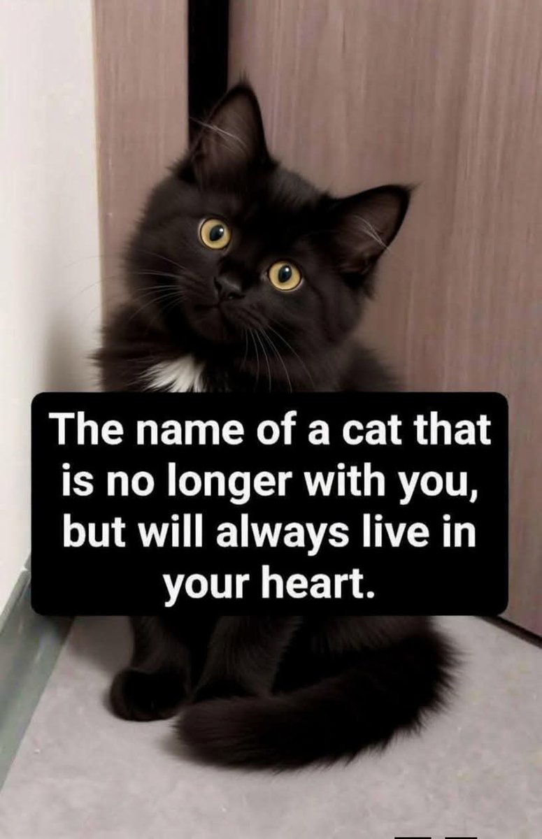 Sara Mary ⭐❤️ tweet media