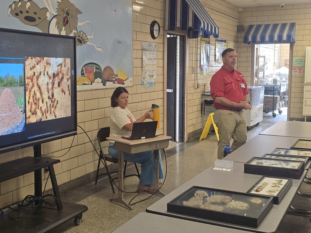 Alexander Elementary tweet media