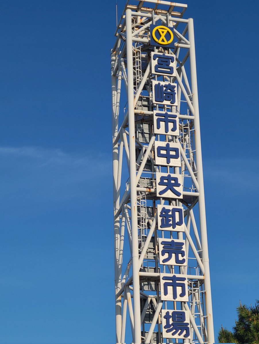 ほづだよ( ͜㊎ ･ω･) ͜㊎ tweet media