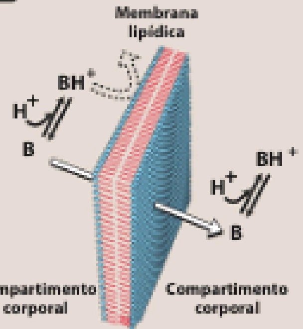 Jane🏳️‍⚧️ tweet media