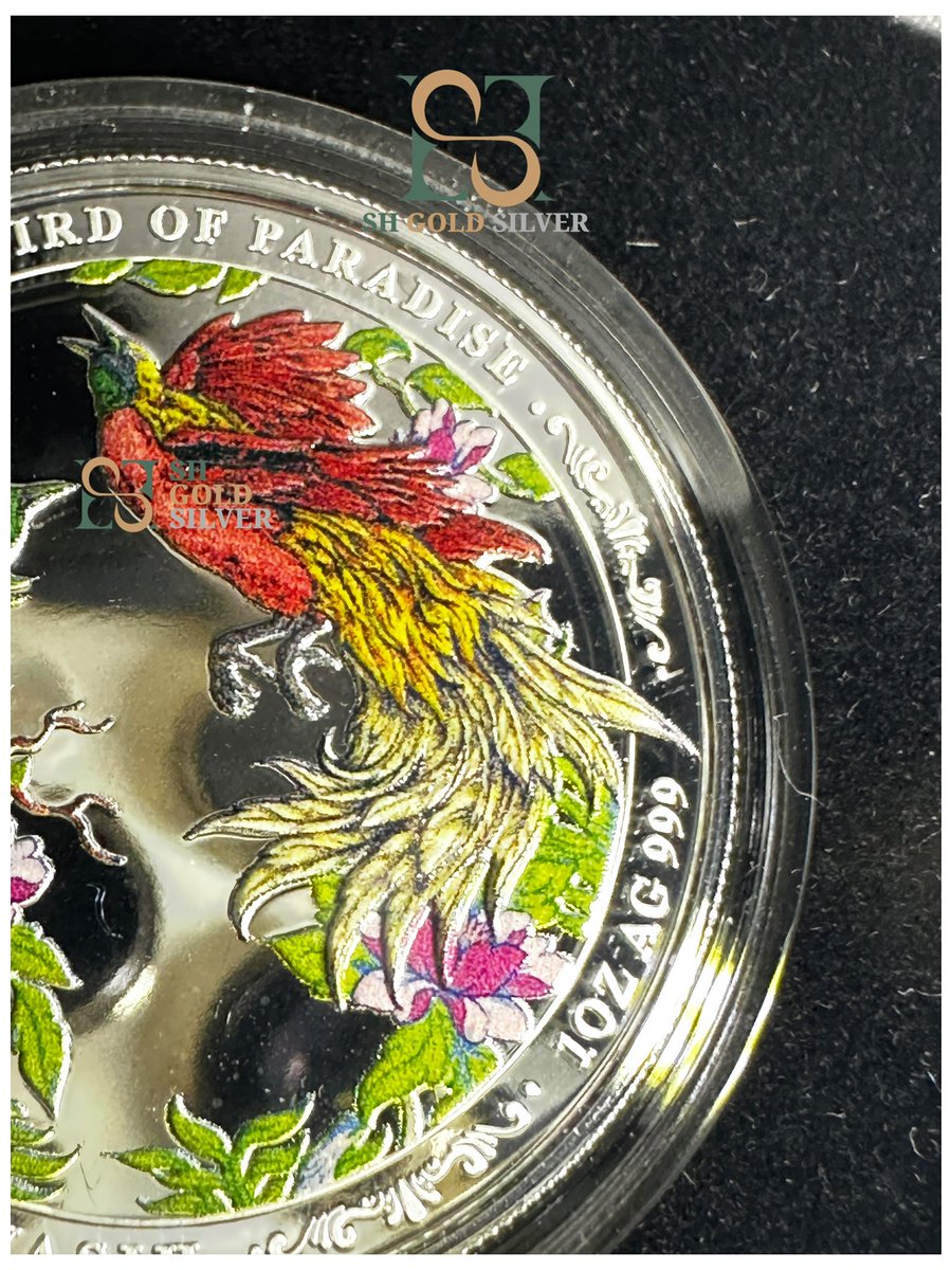SH_GoldSilver's tweet photo. Bird of Paradise, the details are insane the coloring the clean finishing https://t.co/NSlLSfigeo