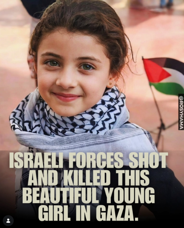 Naila Ayad🇵🇸 tweet media