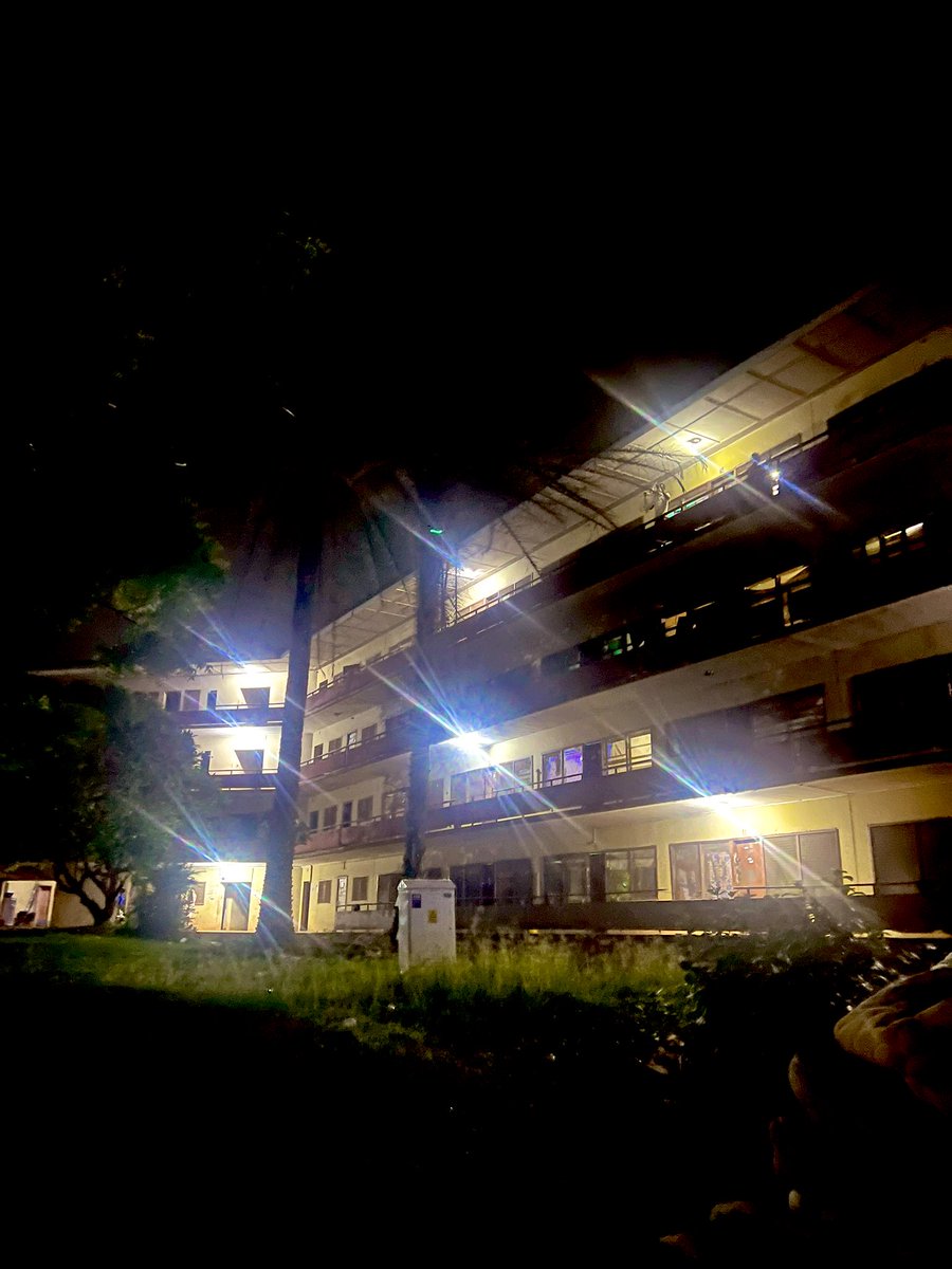 Hon. Jesugbemi tweet media