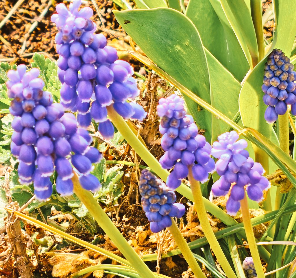 福島北都 tweet media