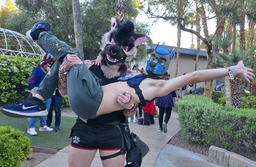 Uppies for the puppies this #FursuitFriday #lvfc2026
