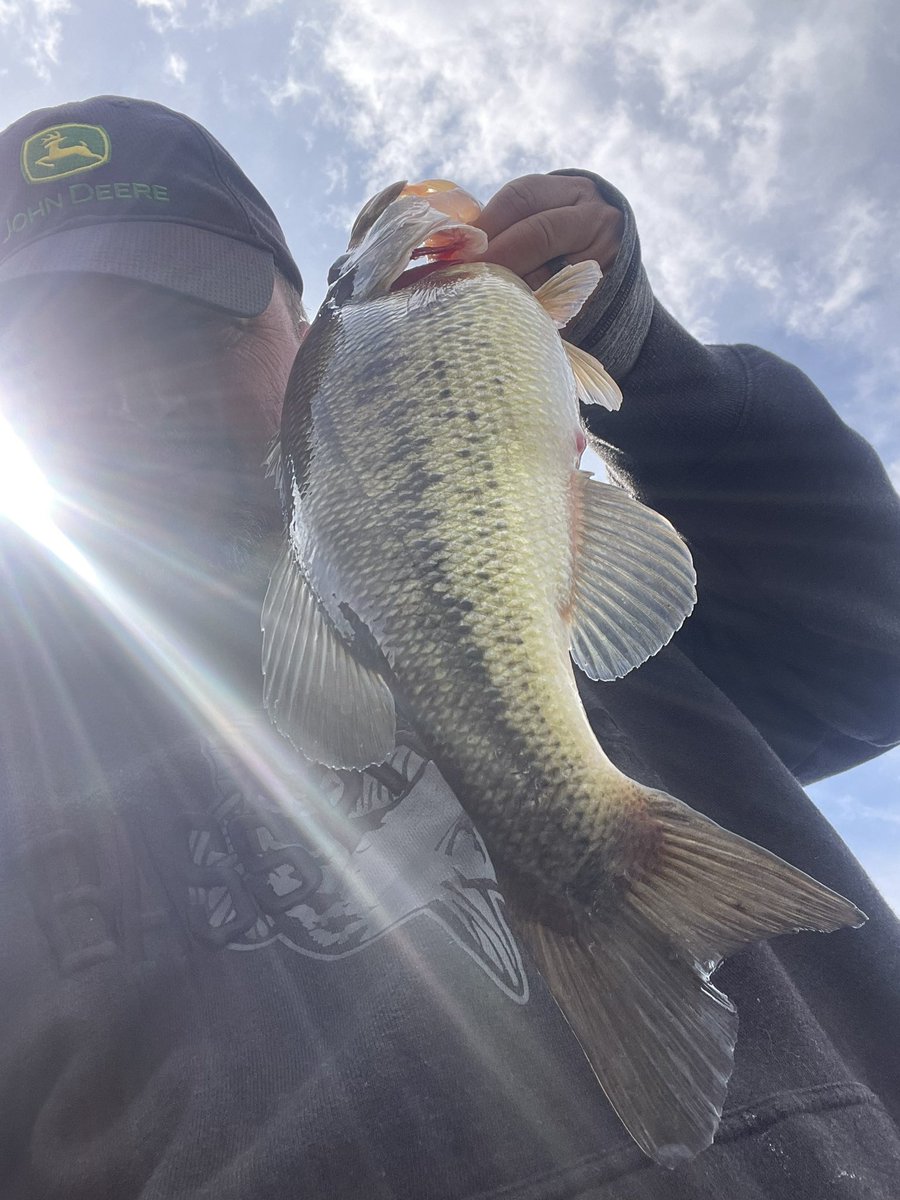 Ryan Glatter tweet media