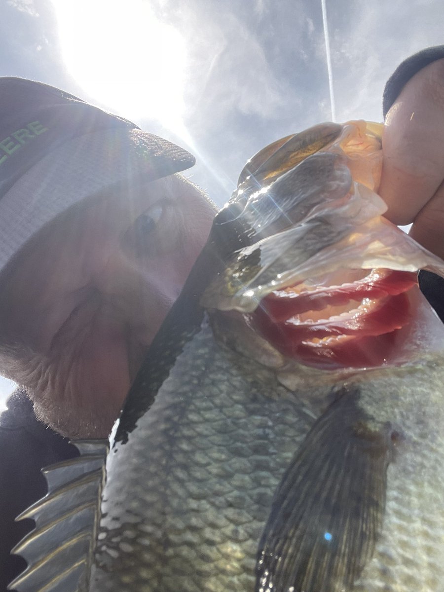 Ryan Glatter tweet media