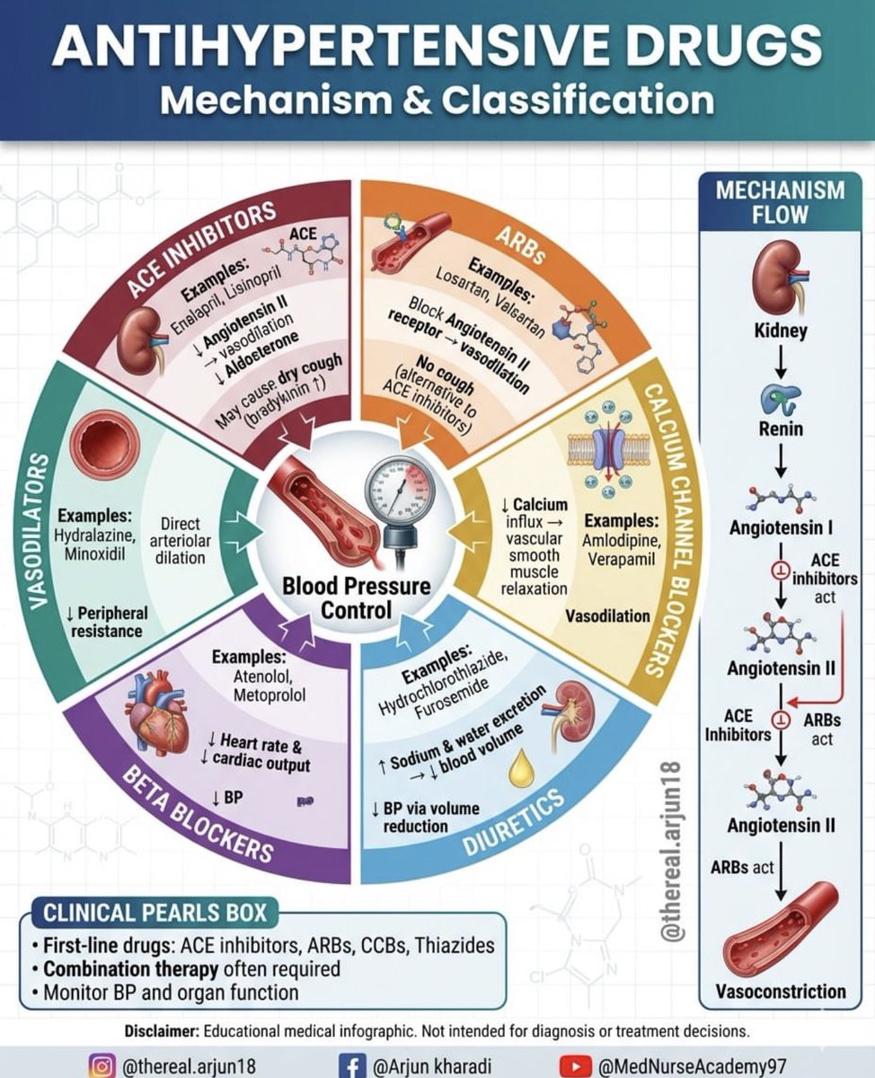 Lama Alghamdi tweet media