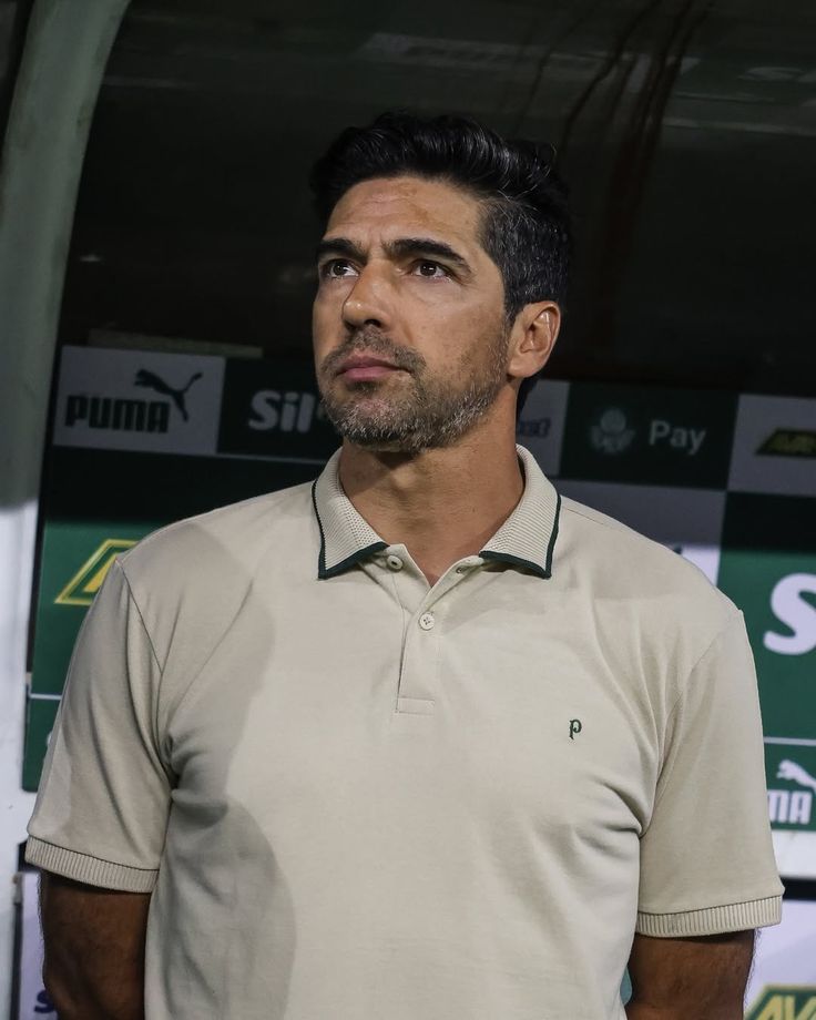 Palmeiras memes🐷💚 tweet media