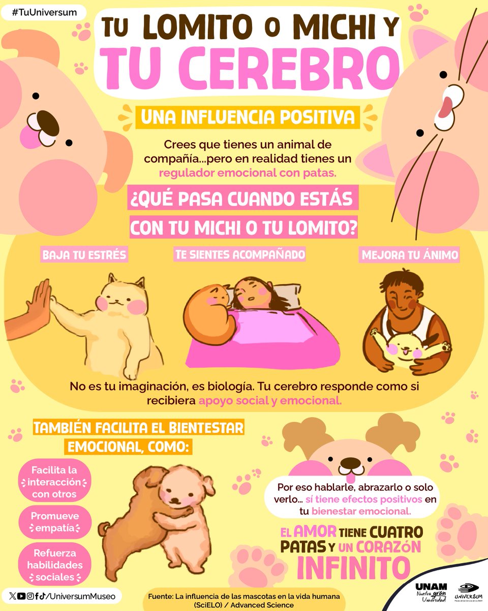¿Qué pasa cuando estás con tu michi y tu lomito? 😺🐶

#TuUniversum