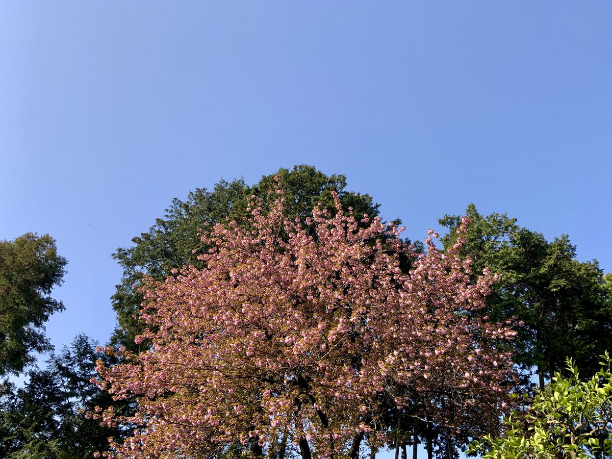 常吉（ツネキチ）🎣 tweet media