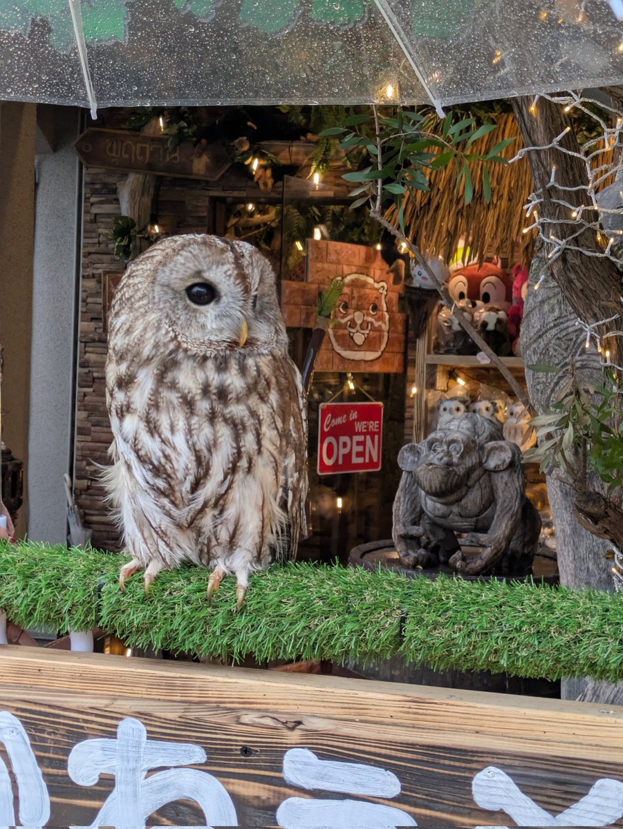 ็ต็ถ็งใ
tweet media