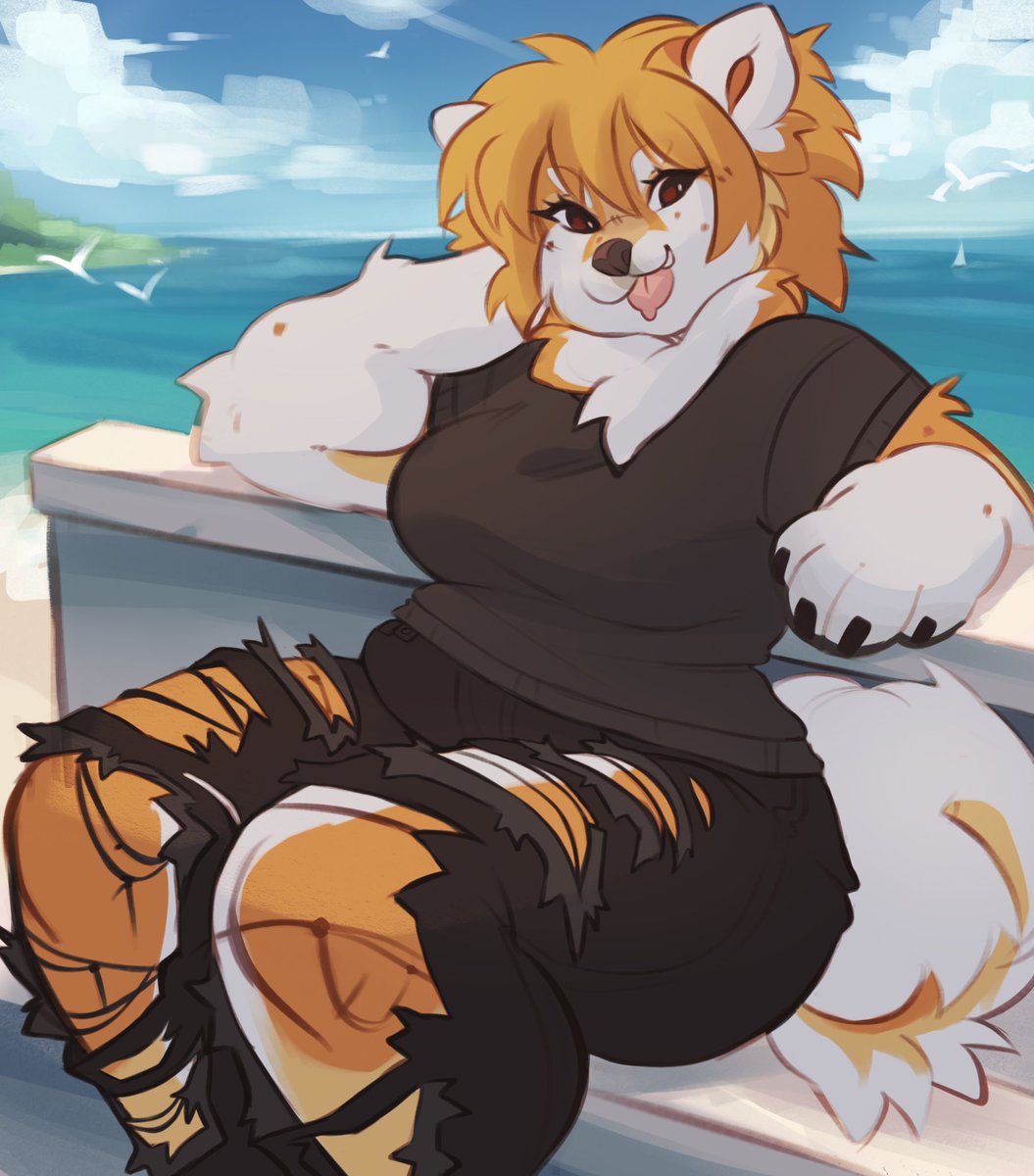 Gracie ✦ . ⁺ tweet media