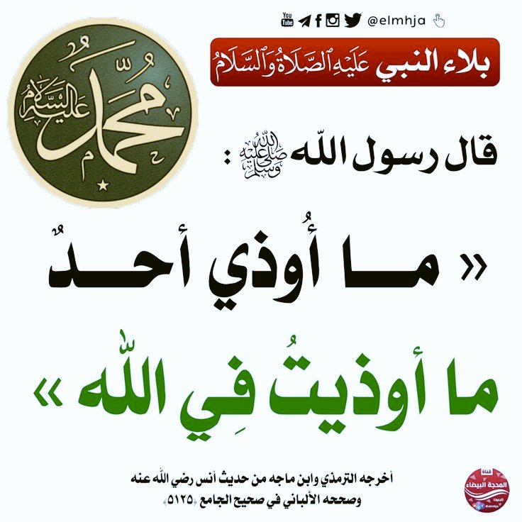 عادل بن أبي بكر tweet media