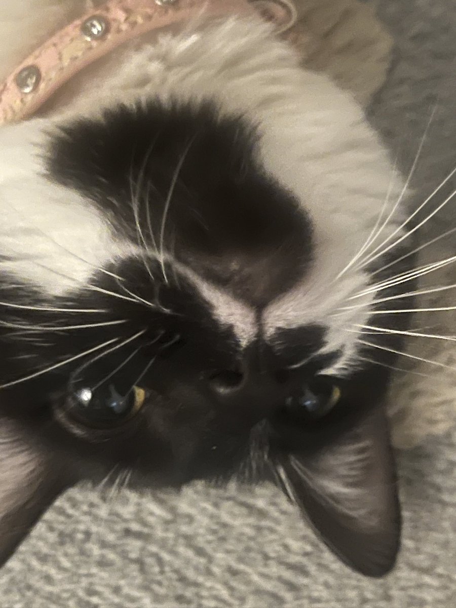 whizzer 🌊 tweet media