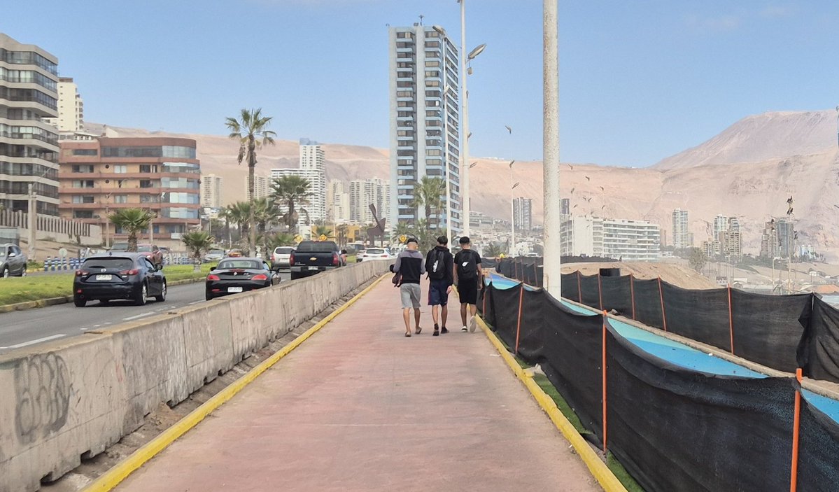 MissChile tweet media