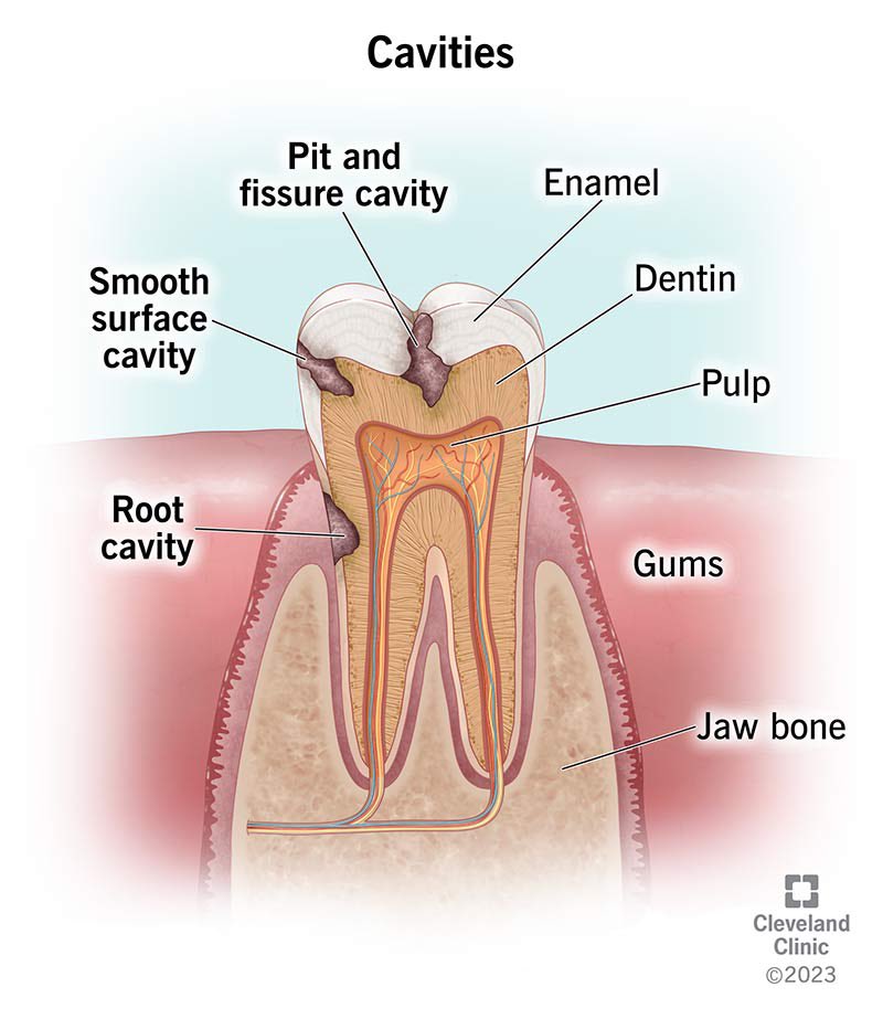 Deth Base tweet media